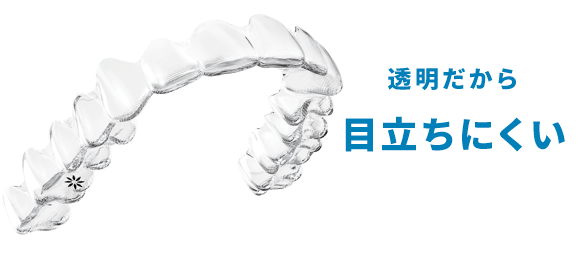 透明だから目立ちにくい
