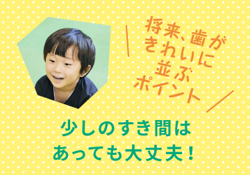 将来、歯がきれいに並ぶポイント 少しの隙間はあっても大丈夫!