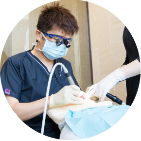 拡大鏡を着けて診療する歯科医師