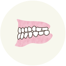 上下の前歯の先端がぶつかる歯並びのイラスト